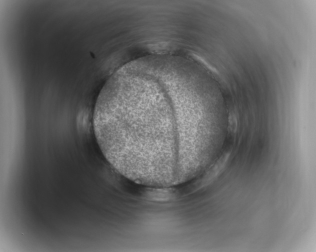 X0000100940671200807221158