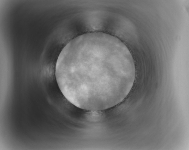 X0000100940672200807221158