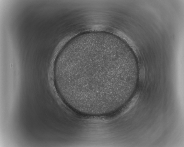 X0000100940673200807221158