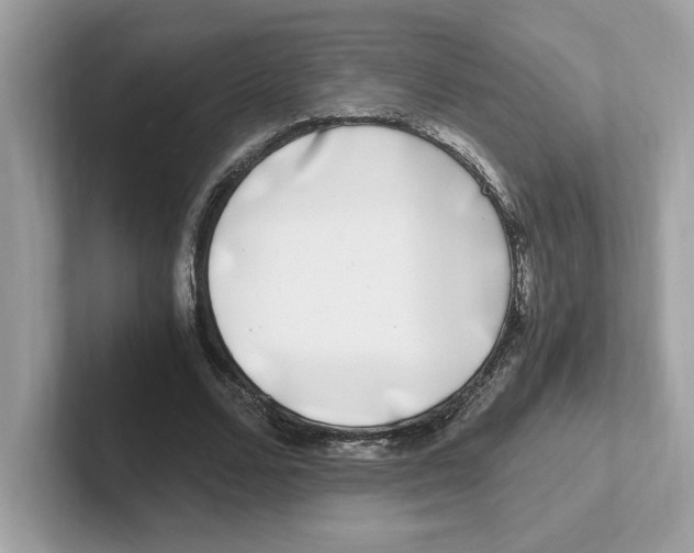 X0000100940680200807221158