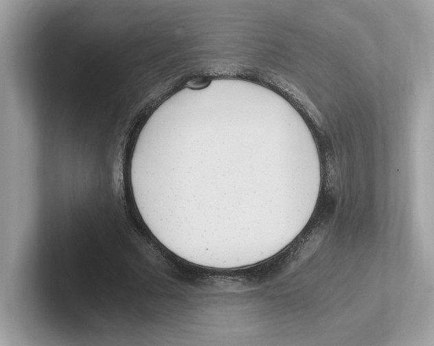 X0000100940681200807221158