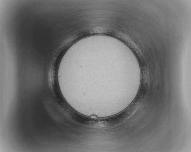 X0000100940683200807221158