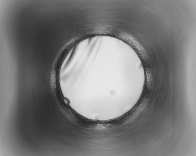 X0000100940684200807221158