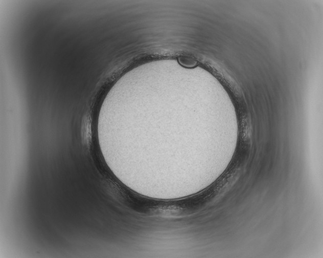 X0000100940685200807221158