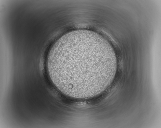 X0000100940687200807221158