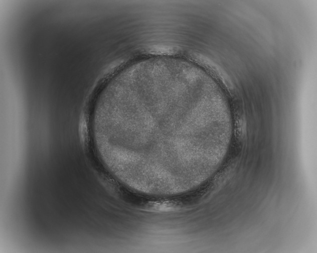 X0000100940688200807221158