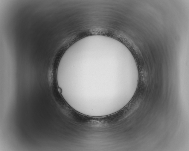 X0000100940690200807221158