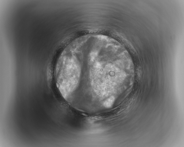 X0000100940691200807221158