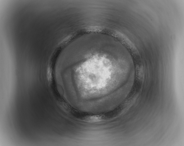 X0000100940692200807221158