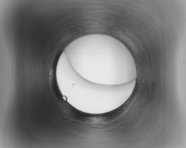 X0000100940693200807221158