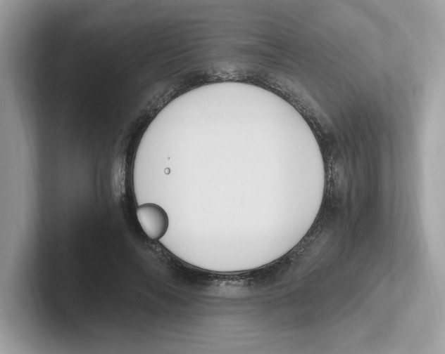 X0000100940694200807221158