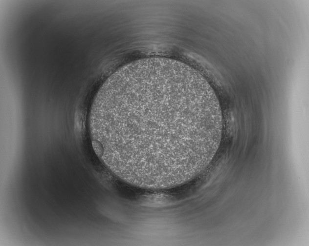 X0000100940695200807221158