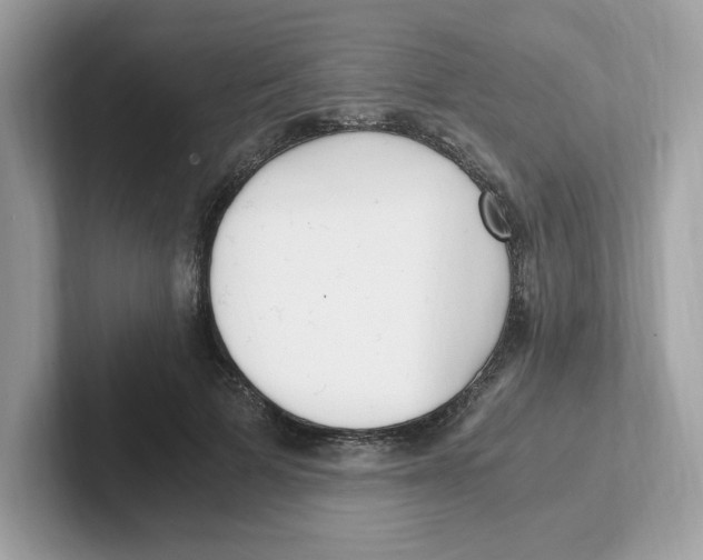 X0000100940697200807221157