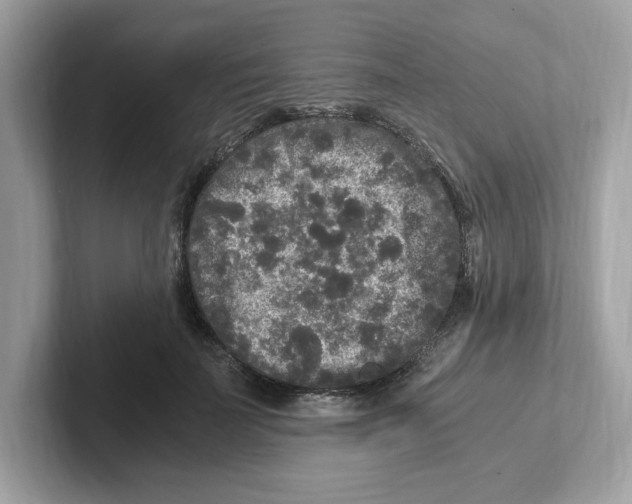 X0000100940699200807221157