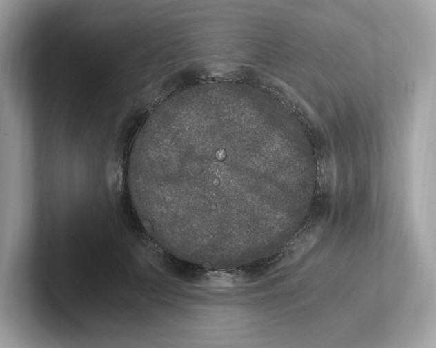 X0000100940703200807221157