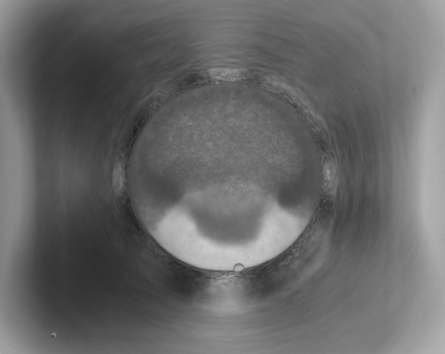 X0000100940705200807221157