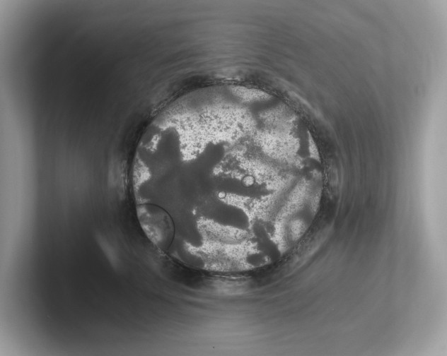 X0000100940707200807221157