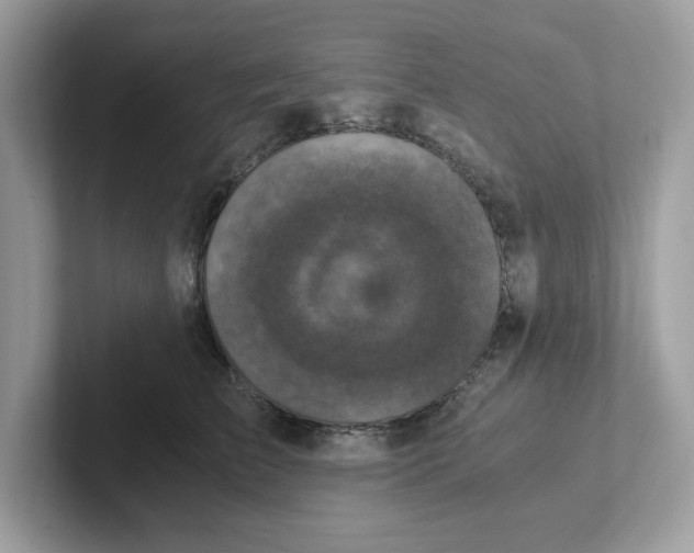 X0000100940709200807221157