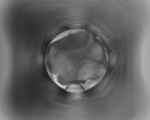 X0000100940711200807221157