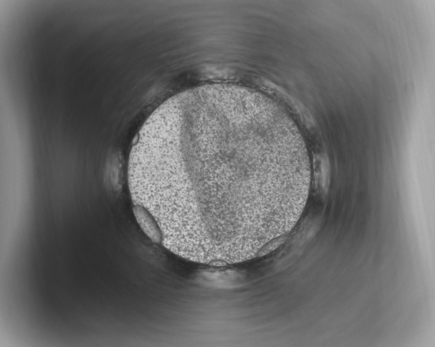 X0000100940712200807221157