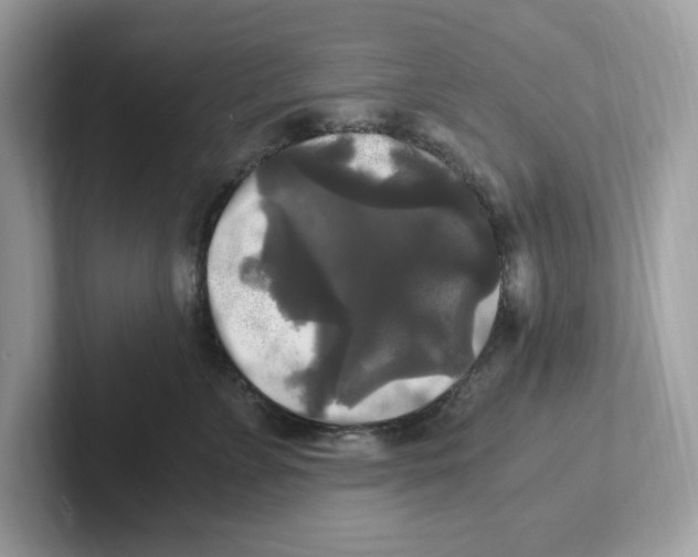 X0000100940715200807221157