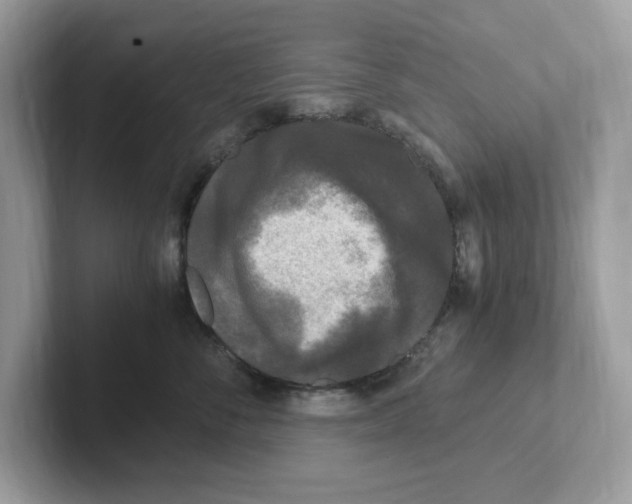 X0000100940716200807221157