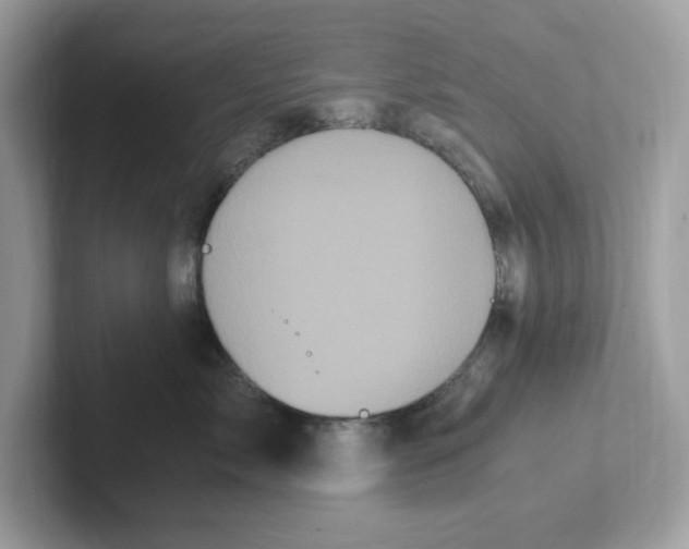 X0000100940717200807221157