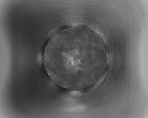 X0000100940718200807221157