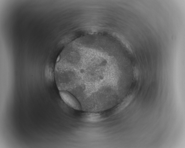 X0000100940719200807221157