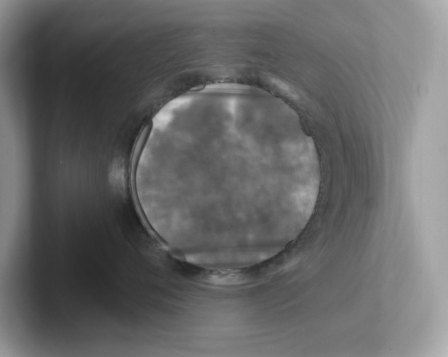 X0000100940720200807221157