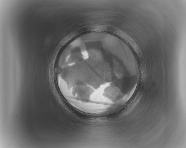 X0000100940721200807221157