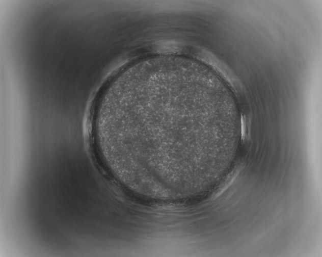 X0000100940723200807221157