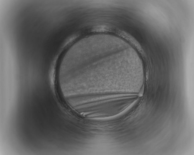 X0000100940724200807221157