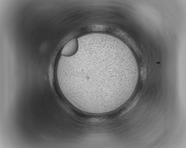 X0000100940725200807221157