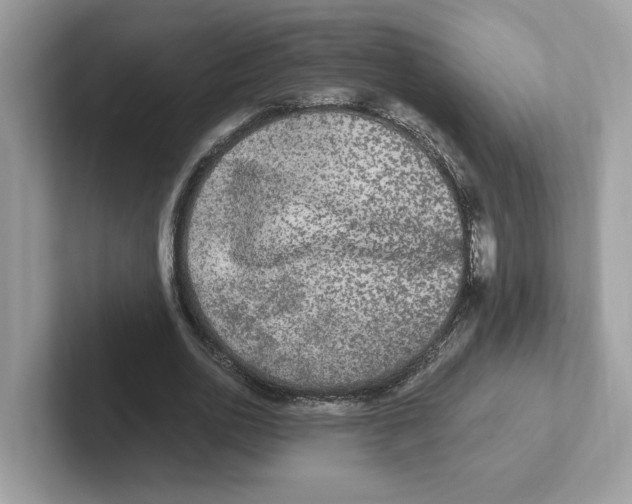 X0000100940726200807221157