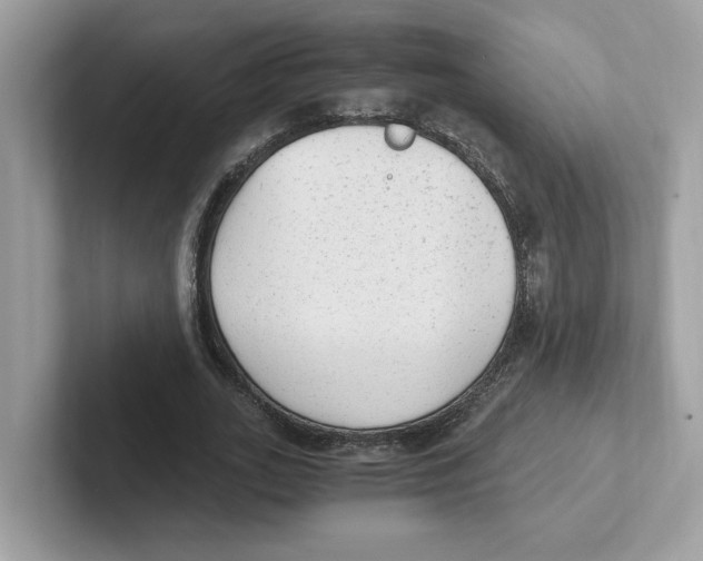 X0000100940727200807221157