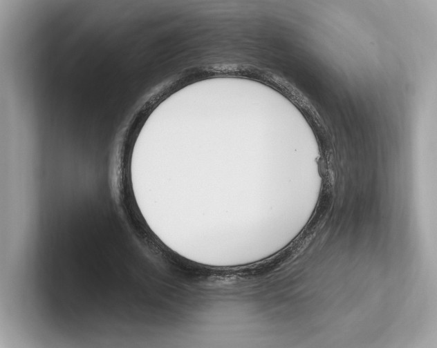 X0000100940728200807221157