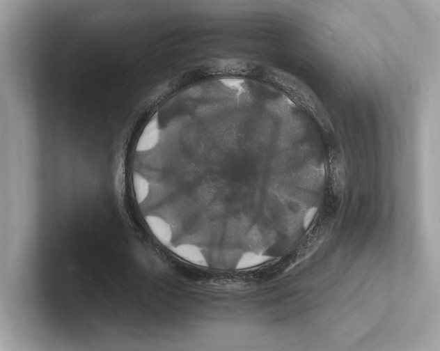 X0000100940729200807221157