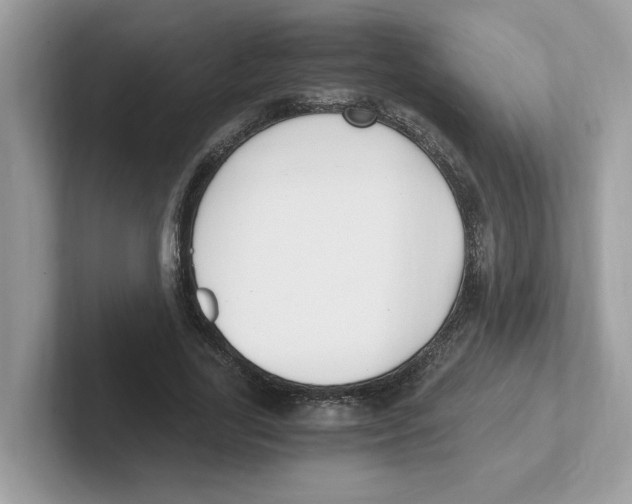 X0000100940731200807221157