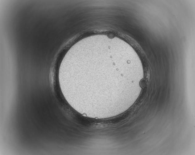 X0000100940732200807221157