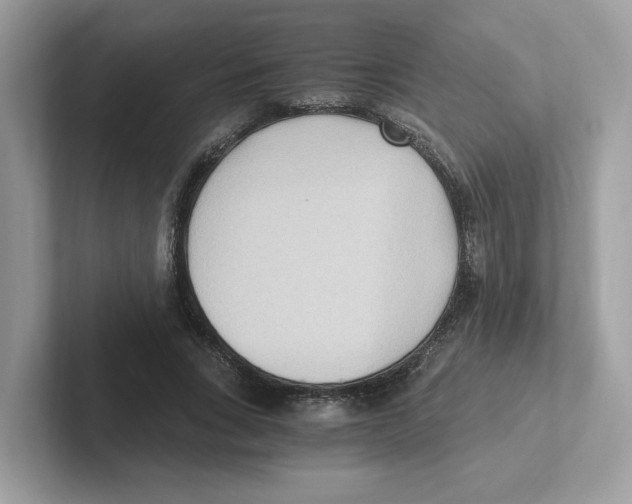 X0000100940735200807221157