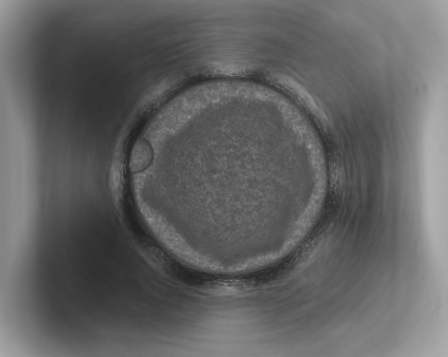 X0000100940736200807221157