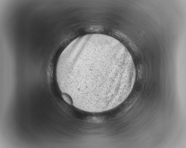 X0000100940739200807221157