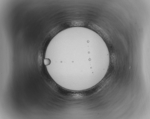 X0000100940741200807221157