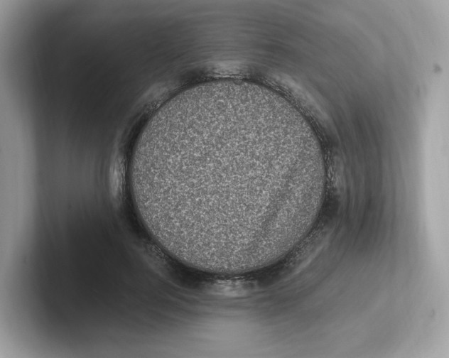 X0000100940744200807221157