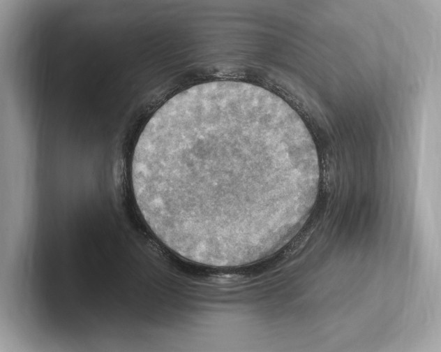 X0000100940748200807221157