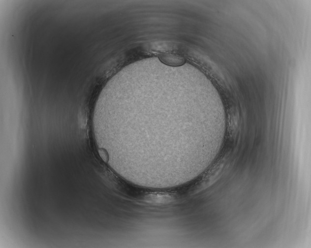 X0000100940749200807221157