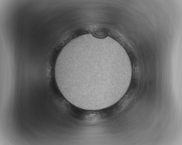 X0000100940750200807221157