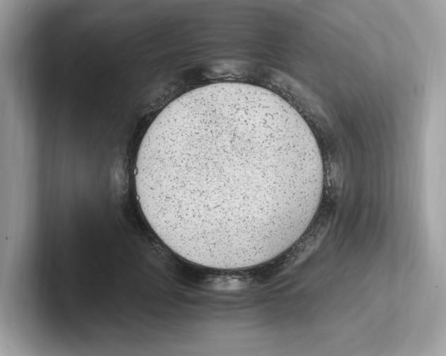 X0000100940751200807221157