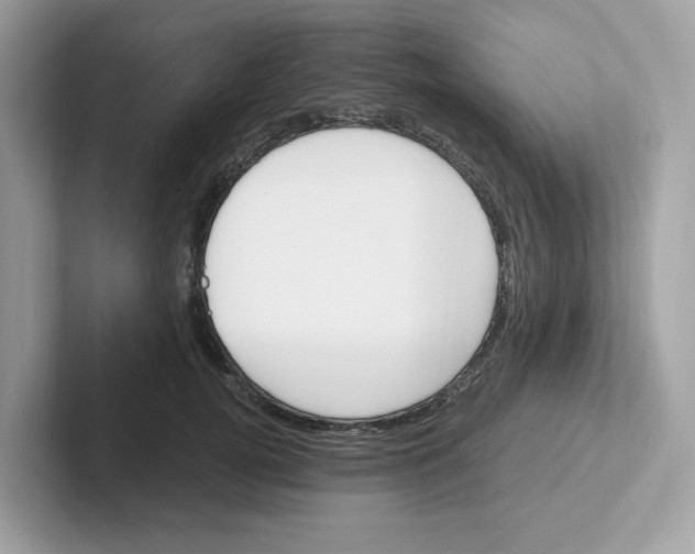 X0000100940752200807221157